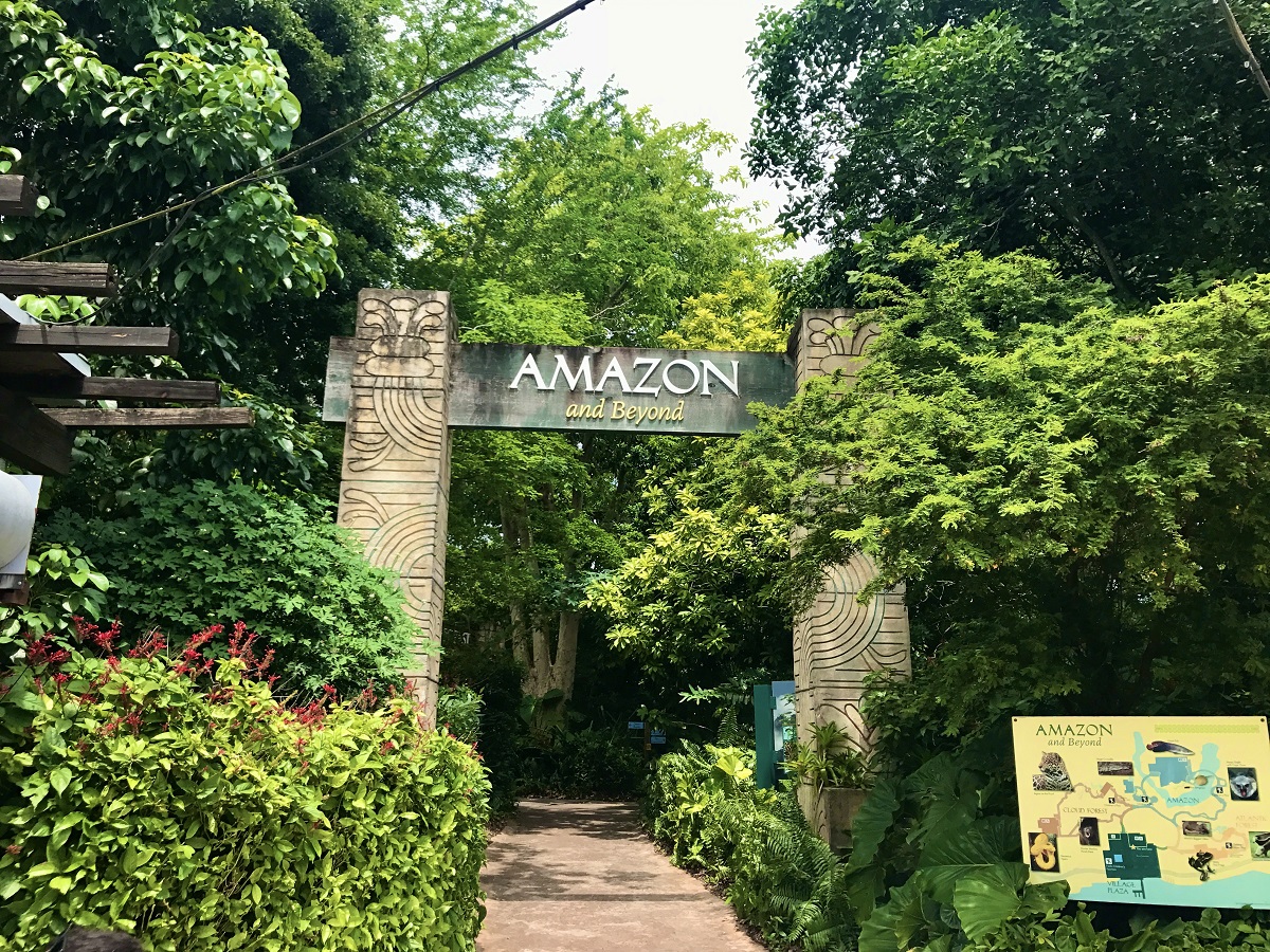 Zoo Miami, Amazon and Beyond