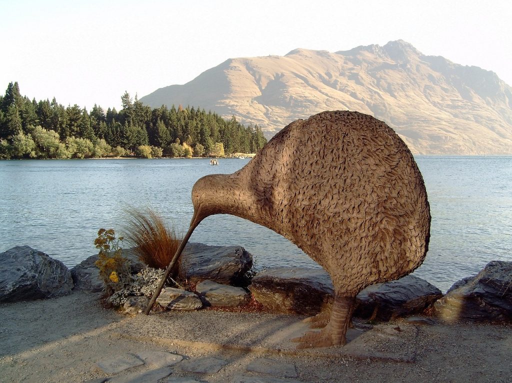 new zealand, kiwi, queenstown