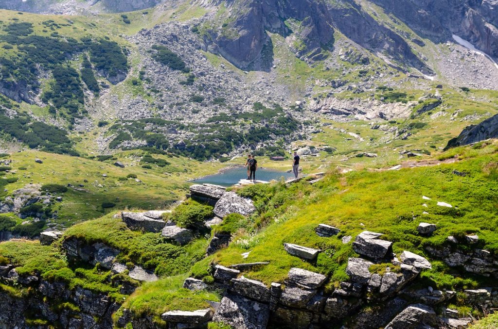 Free stock photo of alpine, grass, high