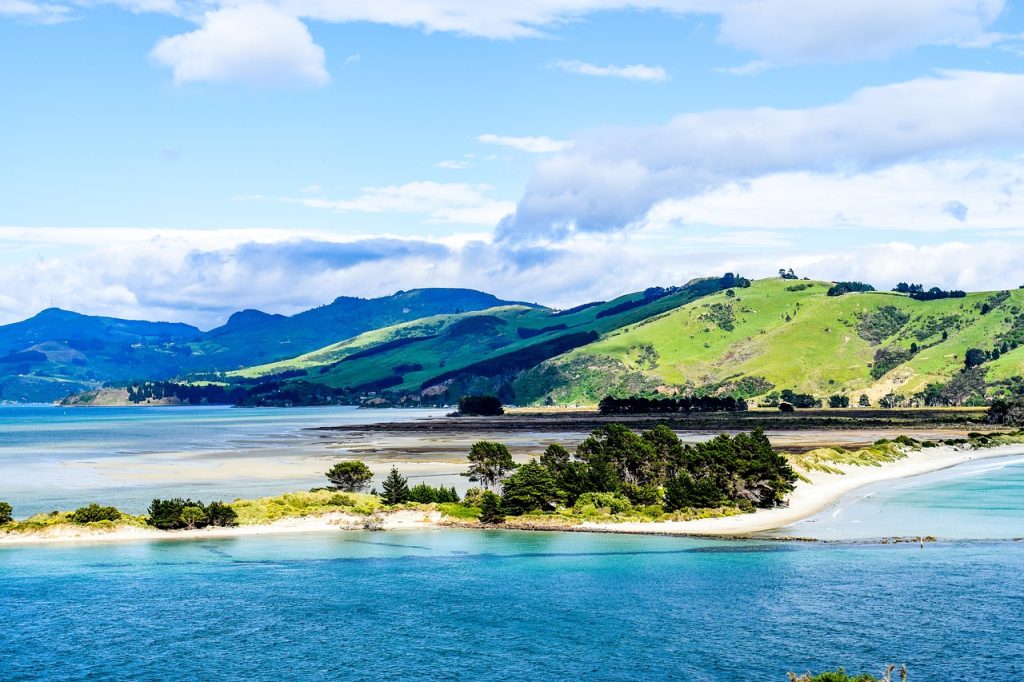 new zealand, dunedin, beach