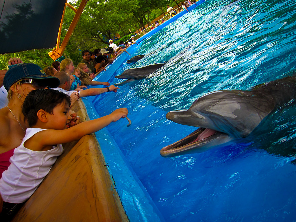 Seaworld San Antonio