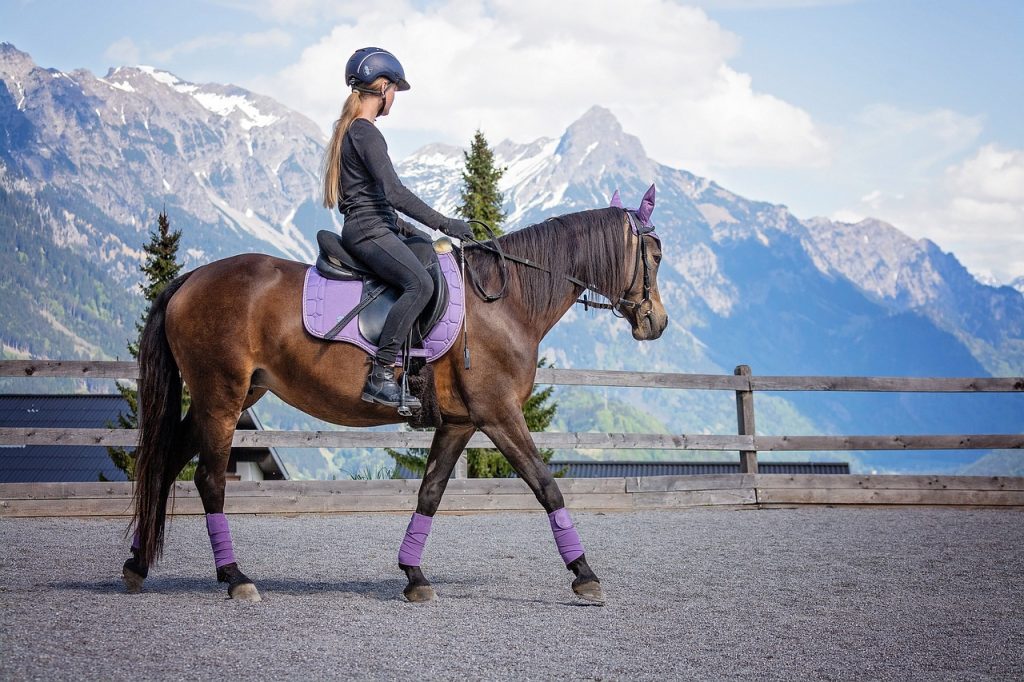 horse, girl, riding lessons