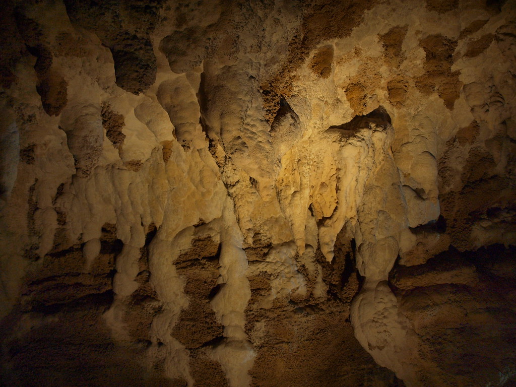 New Zealand Waitomo Caves