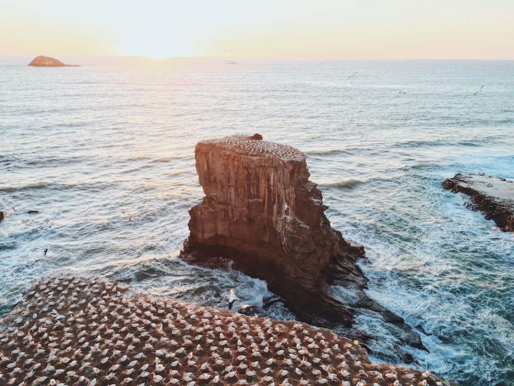 aerial photograph of a rock on body of water in Waitakere