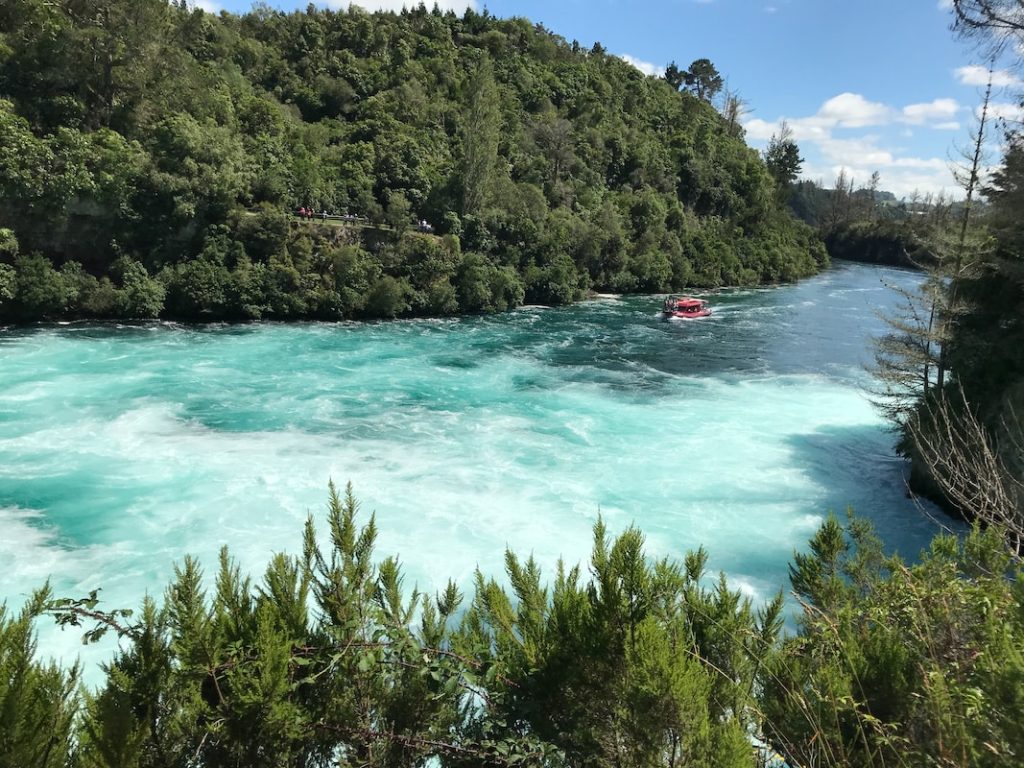 a boat traveling down Waikato River next to a lush green forest